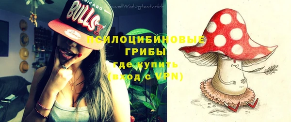 Альфа ПВП Аркадак