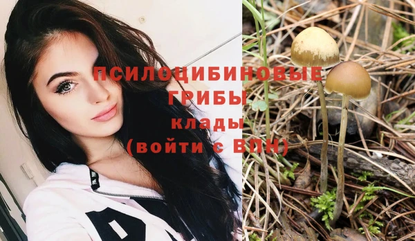 Альфа ПВП Аркадак