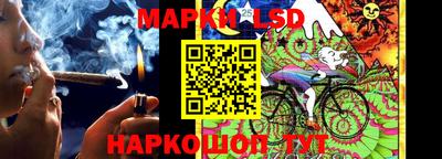 МДПВ Гусев