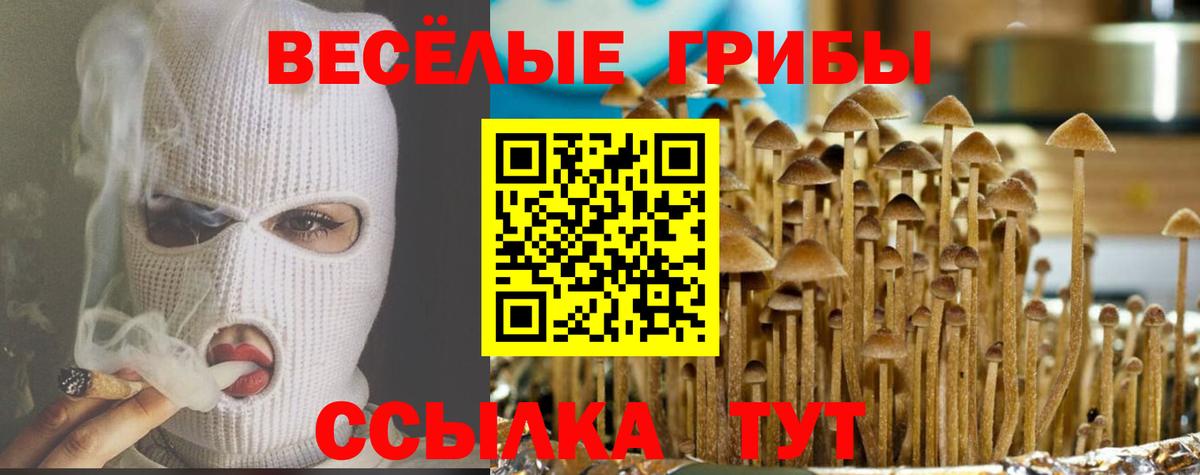 Спасск-Дальний  Галлюциногенные грибы Cubensis  Вход с VPN 